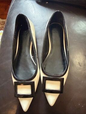 Black & Beige Pointed Toe Ballet Flats with Buckle